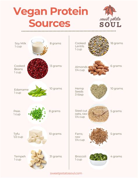 10 Plant Based Protein Sources You Should Be Eating
