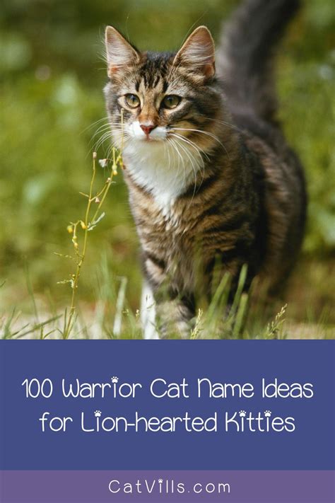 100 Warrior Cat Names For Lion Hearted Kitties