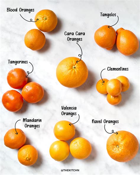 11 Types Of Oranges And How To Use Them The Kitchn
