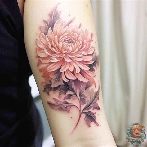115 Stunning Chrysanthemum Tattoos Ideas Meanings Artofit 115 Stunning Chrysanthemum Tattoos Ideas Meanings Artofit