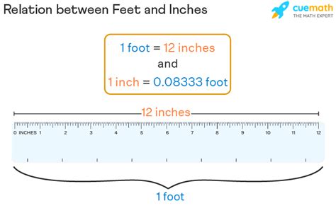 Converting 12 Foot to Inches: The Ultimate Guide for Quick Calculations