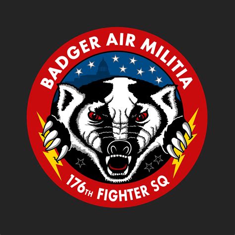 176 Fs Badger Air Militia Patch