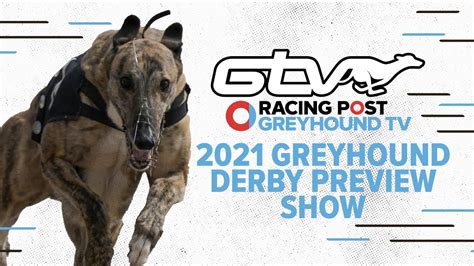 2021 Greyhound Derby Betting Preview Racing Post Greyhound Tv Youtube