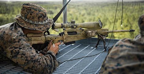 21 073 Sniper Stock Photos High Res Pictures And Images Getty Images Sniper Scope Sniper Rifle Sniper Gun 21 073 Sniper Stock Photos High Res Pictures And Images Getty Images Sniper Scope Sniper Rifle Sniper Gun