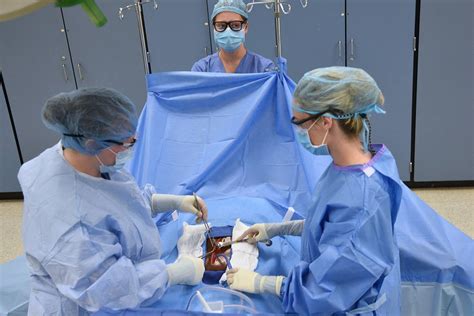 21 Accredited Surgical Tech Programs California Tekno Info