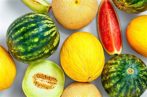 25 Types Of Melon To Try Common And Rare Insanely Good