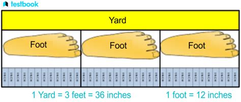 Convert 3 Yards to Feet: A Simple and Exact Calculation Revealed!