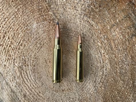 308 Winchester Vs 5 56 Nato 2026 Which Is Best