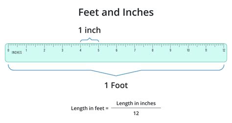 Convert 31 Inches to Feet: Quick and Easy Guide