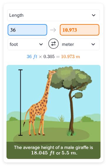 Convert 36 Inches to Feet Easily!