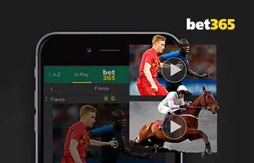 365 Betting Live