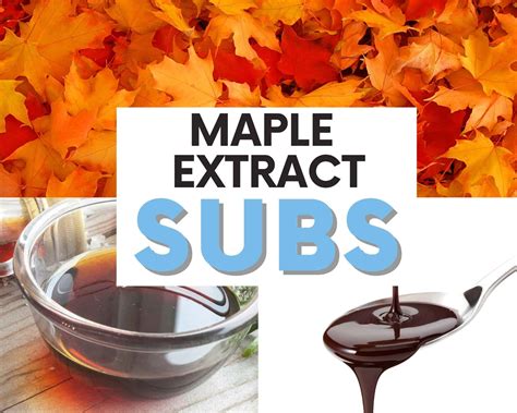 7 Best Maple Extract Substitutes 7 Best Maple Extract Substitutes