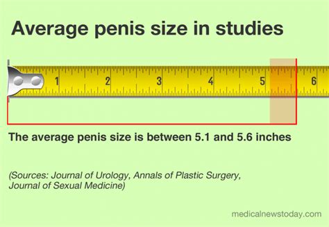 Unlocking Secrets of the 8 Inch Penis: What You Need to Know