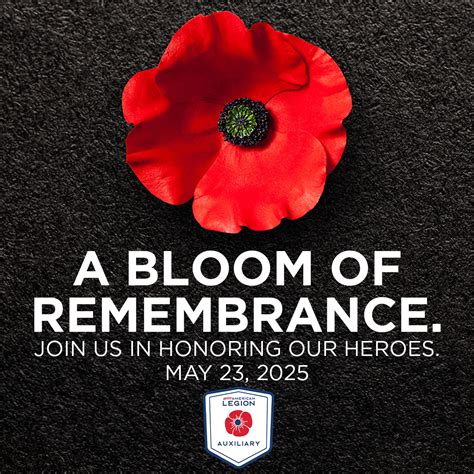 A Symbol Of Remembrance Of War Veterans National Poppy Day Is Friday May 23 News Pinecountynews Com