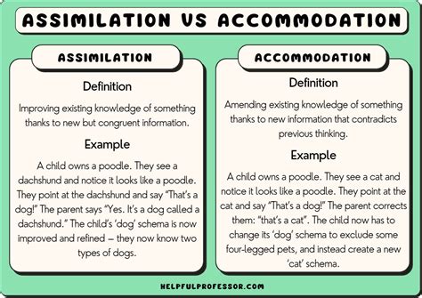Understanding Accommodation in Psychology Definition