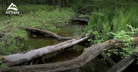 Afi List Alltrails Afi List Alltrails