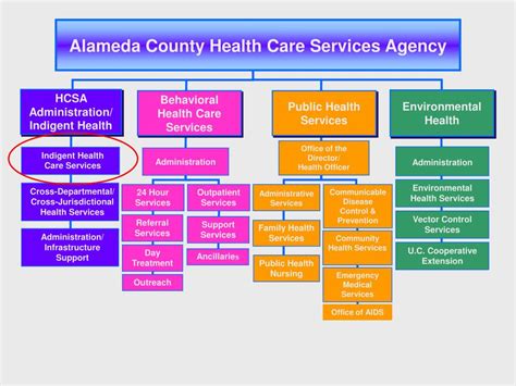 Alameda County Health Care Services Budget