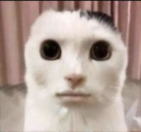 Ameria Graves Adl Kullan C N N Tattoo Ideas Panosundaki Pin 2025