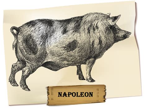 Napoleon Character in Animal Farm: Unraveling His Ruthless Ambition