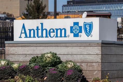 Anthem Blue View Vision Plan: Eye Care Breakthrough