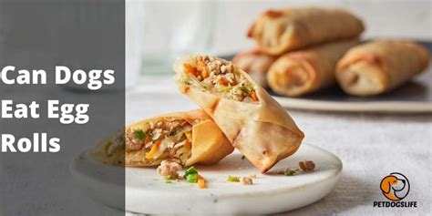 Are Egg Rolls Safe For Dogs