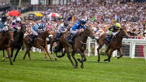 Ascot S Placepot Payout Comes To More Than 26 000 After Rollercoaster Ride Of Shock Results Racing Post