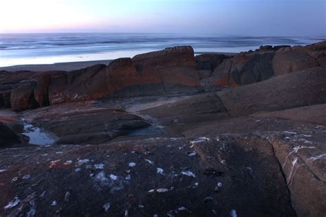 Basalt Gateway Beginning Of Yachats Amp 39 Rocky Shores Yachats Oregon Basalt Gateway Beginning Of Yachats Amp 39 Rocky Shores Yachats Oregon