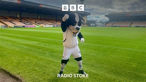 Bbc Radio Stoke Bbc Radio Stoke Port Vale Mascot Amp 39 S Epsom Race