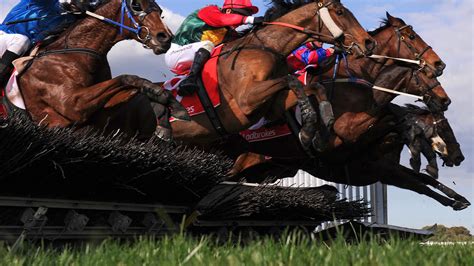 Bbc Taster Bbc Sport Horse Racing Results Bbc Taster Bbc Sport Horse Racing Results