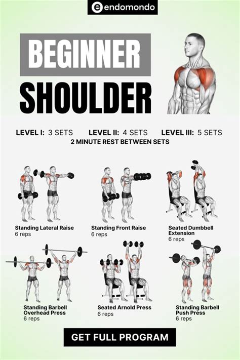 Beginner Friendly Shoulder Workout Routine For Men Shoulder Workout