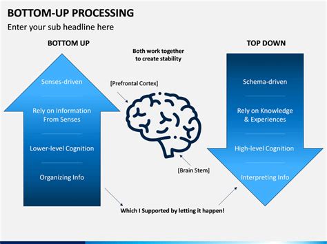 Best Bottom Up Processing Example Explained
