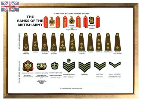 British Military Rank Posters Set Of 3 Large A3 Posters Ranks Of The British Army Royal Navy Raf 1945 Present Swiss Army Military Collectible Folding Knives British Military Rank Posters Set Of 3 Large A3 Posters Ranks Of The British Army Royal Navy Raf 1945 Present Swiss Army Military Collectible Folding Knives