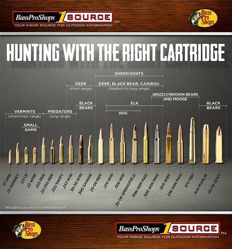 Bullet Caliber Size Chart Educational Chart Resources