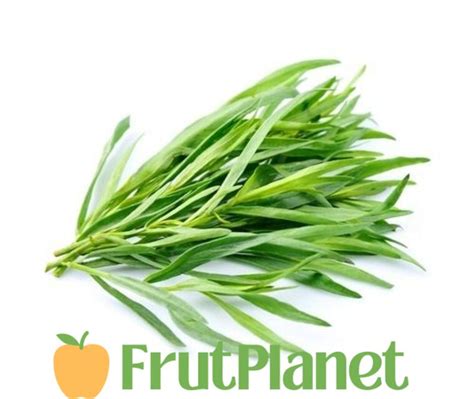 Buy Fresh Tarragon Online Bulk Amp Wholesale Supply Fresh Fruits