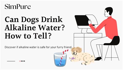 Can Dogs Drink Alkaline Water How To Tell Can Dogs Drink Alkaline Water How To Tell