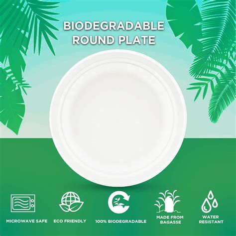 Cheap Eco Friendly Disposable Plates At Sandra Raines Blog