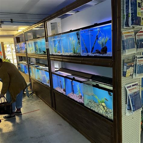 Cheap Fish Stores Around Me Factory Sale Top 10 Best Fish Store In Austin Tx March