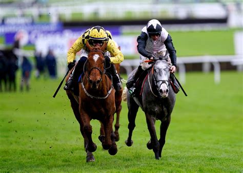 Cheltenham Festival 2024 Race Card And Full Four D Cheltenham