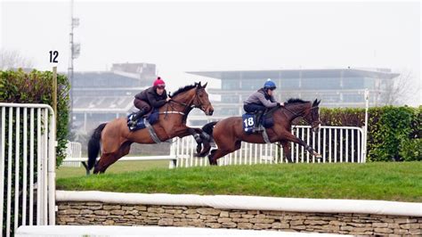 Cheltenham Festival 2025 Schedule How To Watch Odds And Weather Forecast