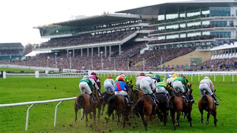 Cheltenham Festival 2026 Tips Seven Dark Horses That Can Light Up The Cotswolds With Eight Weeks To Go Irish Mirror