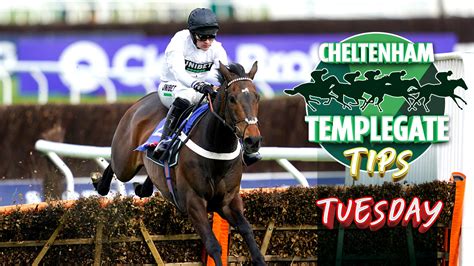 Cheltenham Festival Horse Racing Tips Templegate Nap Can Get Punters Cheltenham Festival Horse Racing Tips Templegate Nap Can Get Punters