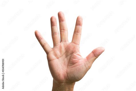 Child Hand Showing Five Fingers Stock Illustrations 61 Child Hand Showing Five Fingers Stock