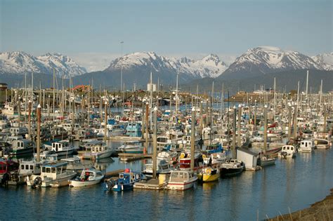 City Of Homer Alaska