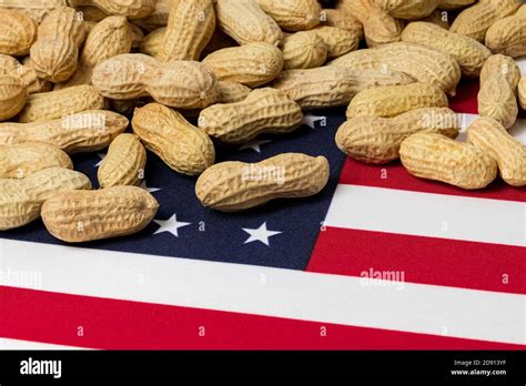 Closeup Of Peanuts In Shell On Flag Of United States Of America With Closeup Of Peanuts In Shell On Flag Of United States Of America With