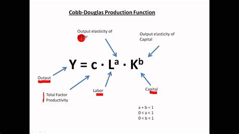 Mastering Cobb Douglas Function Productivity