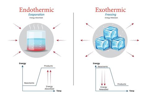 Condensation: Is It Exothermic or Endothermic?