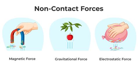 Contact Amp Non Contact Forces Definition Types Amp Examples