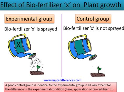Control vs Experimental Group: Unraveling the Research Dynamics