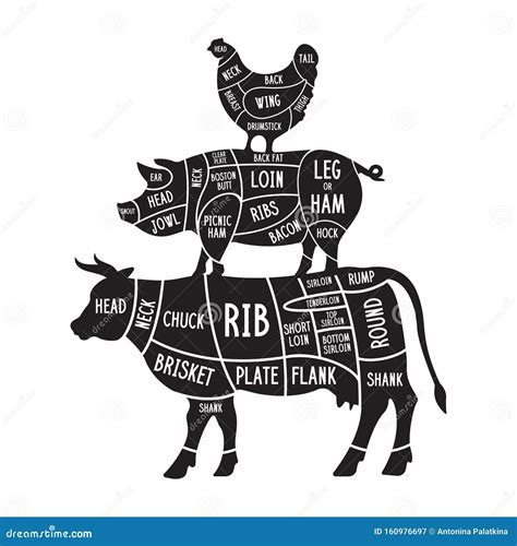 Cuts Of Pork Chicken And Beef Vector Illustration Cartoondealer Com