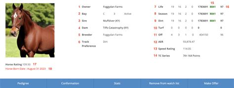 Declaration Of War Horse Profile Bloodhorse